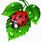 Spring Ladybug Clip Art