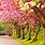 Spring Nature HD Desktop Wallpaper
