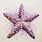 Starfish Painting