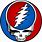 Steal Your Face Image