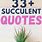 Succulent Sayings