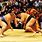Sumo Wrestling Tournament