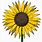 Sunflower Clip Art Vintage SVG Free