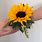 Sunflower Wrist Corsage