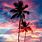 Sunset Palm Trees Desktop Backgrounds