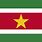 Suriname Country Flag
