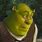 Surprised Shrek Meme