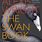 Swan Book