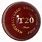 T20 Cricket Ball