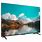 TCL 55-Inch 4K TV 55S451