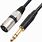 TRRS XLR Cable