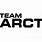 Team Arctic Logo