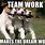 Teamwork Dog Meme