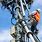 Telecommunications Workers