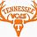 Tennessee Vols Decals