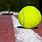 Tennis Ball Sport