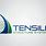 Tensile Steel Logo