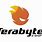 Terabyte Logo.png