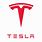 Tesla Logo Horizontal