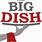 The Big Dish Logo