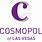 The Cosmopolitan Las Vegas Logo