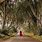 The Dark Hedges Game of Thrones Ireland