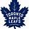 The Toronto Maple Leafs