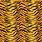Tiger Stripes Texture