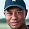 Tiger Woods Face Photo