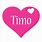 Timo Logo