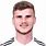 Timo Werner Young
