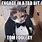 Tom Foolery Meme Cat