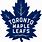 Toronto Maple Leafs Transparent Logo