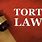 Tort Law Image