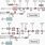 Transceiver Block Diagram