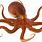 Transparent Octopus Image