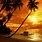 Tropical Beaches at Sunset