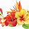 Tropical Hibiscus Flower Clip Art