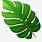 Tropical Plant Leaf Clip Art