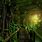 Tropical Rainforest Background 4K