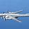 Tu-95 Plane