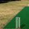 Turf Cricket Pitch