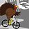 Turkey On Bicycle