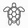 Turtle Outline Picture