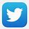 Twitter iOS App Icon