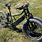 Two Front Wheel Electric Bike