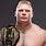 UFC 19 Brock Lesnar