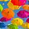 Umbrella Desktop Wallpaper