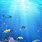 Underwater Ocean Wallpaper iPhone