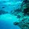 Underwater Sea Ocean Floor